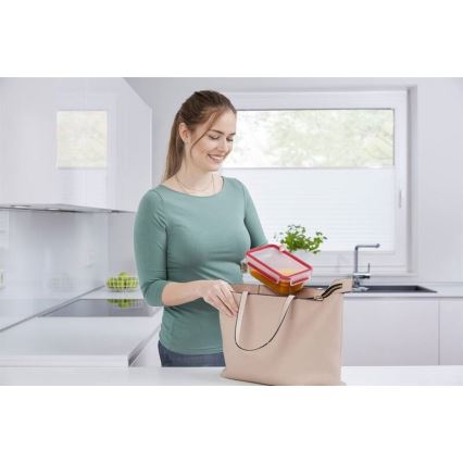 Tefal - Posoda za živila 0,85 l MSEAL GLASS rdeča/steklo