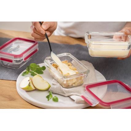 Tefal - Posoda za živila 1,1 l MSEAL GLASS rdeča/steklo