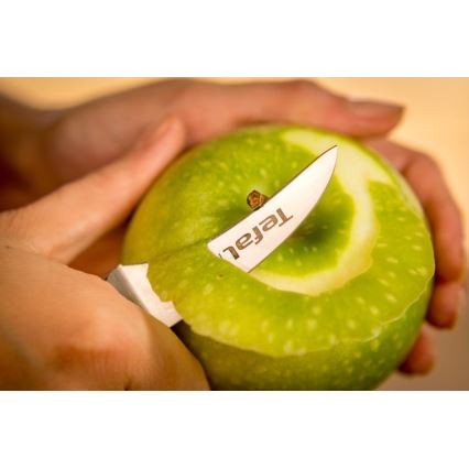Tefal - Rezbarski nož iz nerjavečega jekla ICE FORCE 7 cm sijajni krom/črna