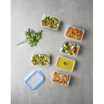 Tefal - SET 6x Posoda za hrano 0,8 l MASTER SEAL FRESH modra