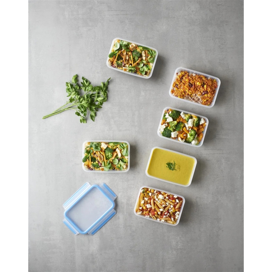 Tefal - SET 6x Posoda za hrano 0,8 l MASTER SEAL FRESH modra