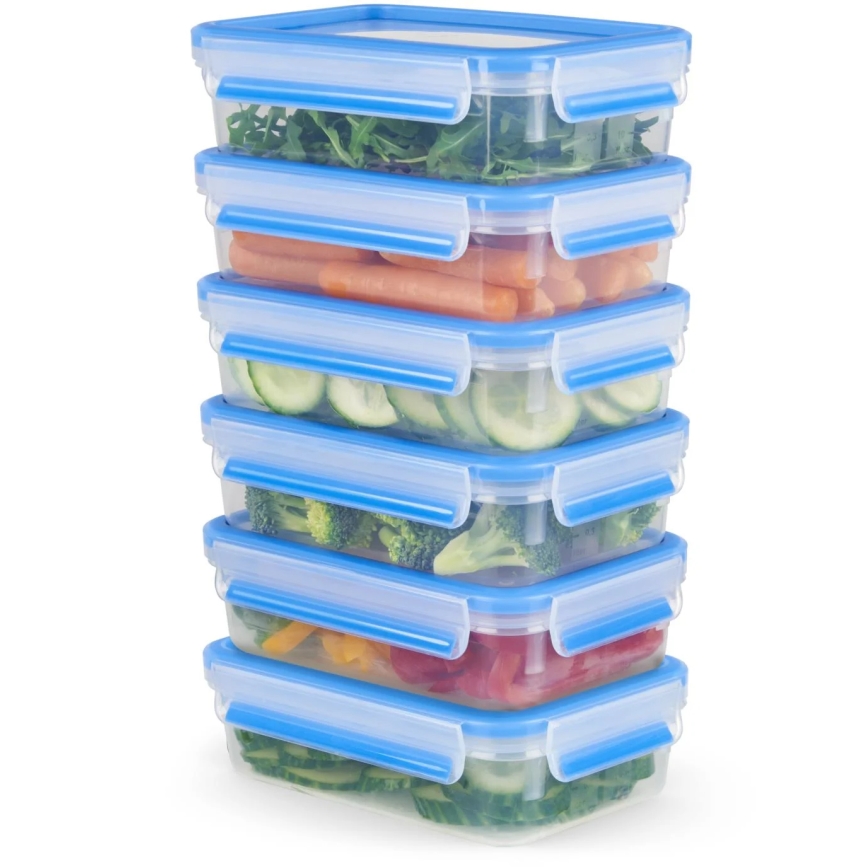 Tefal - SET 6x Posoda za hrano 0,8 l MASTER SEAL FRESH modra