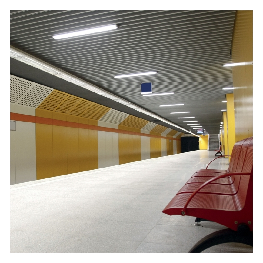 Tehnično fluorescenčno svetilo LIMEA T8 2xG13/20W/230V IP65 71 cm