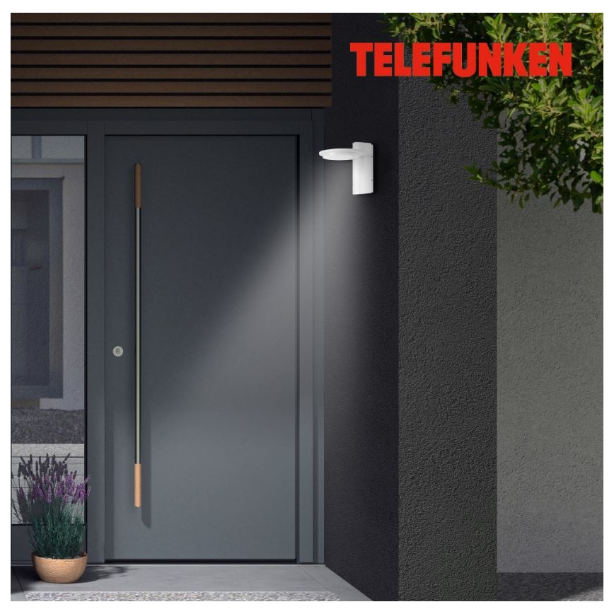 Telefunken 312406TF - LED Zunanja stenska svetilka LED/10W/230V IP44