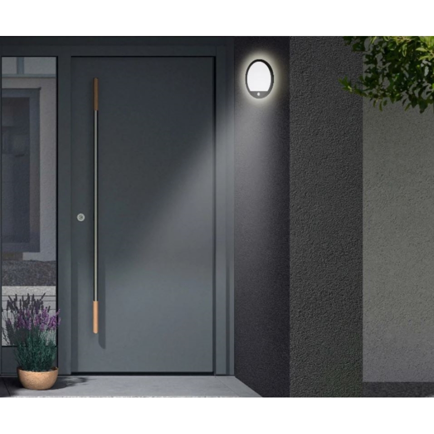 Telefunken 313705TF - LED Zunanja stenska svetilka s senzorjem LED/15W/230V IP44