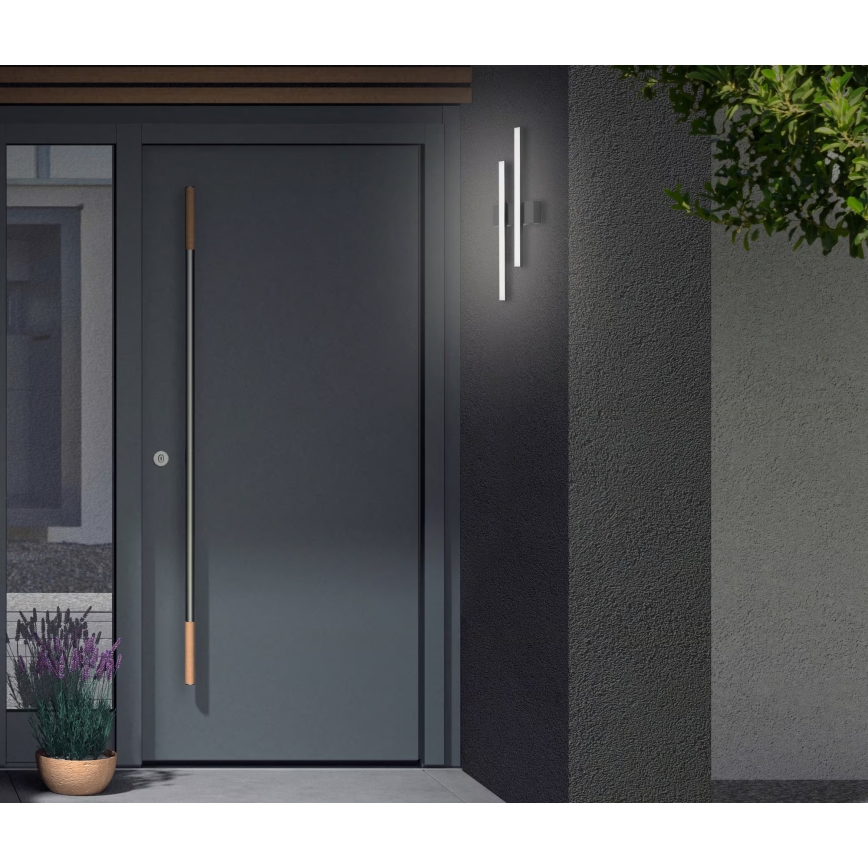 Telefunken - LED Zunanja stenska svetilka 2xLED/4W/230V IP44 črna