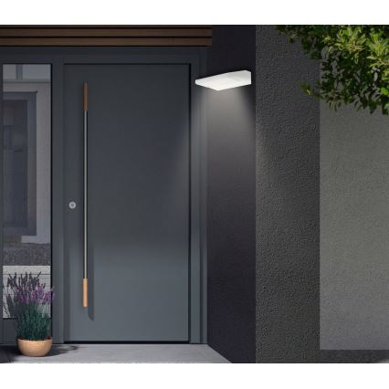 Telefunken - LED zunanja stenska svetilka LED/10W/230V IP44 bela