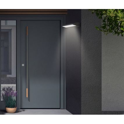 Telefunken - LED zunanje stensko svetilo LED/10W/230V IP44 črna