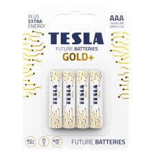 Tesla Batteries - 4 kos Alkalna baterija AAA GOLD+ 1,5V