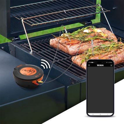 TESLA Electronics Cook - Digitalni termometer za meso s sondo 0-400 °C 2xAA IP65