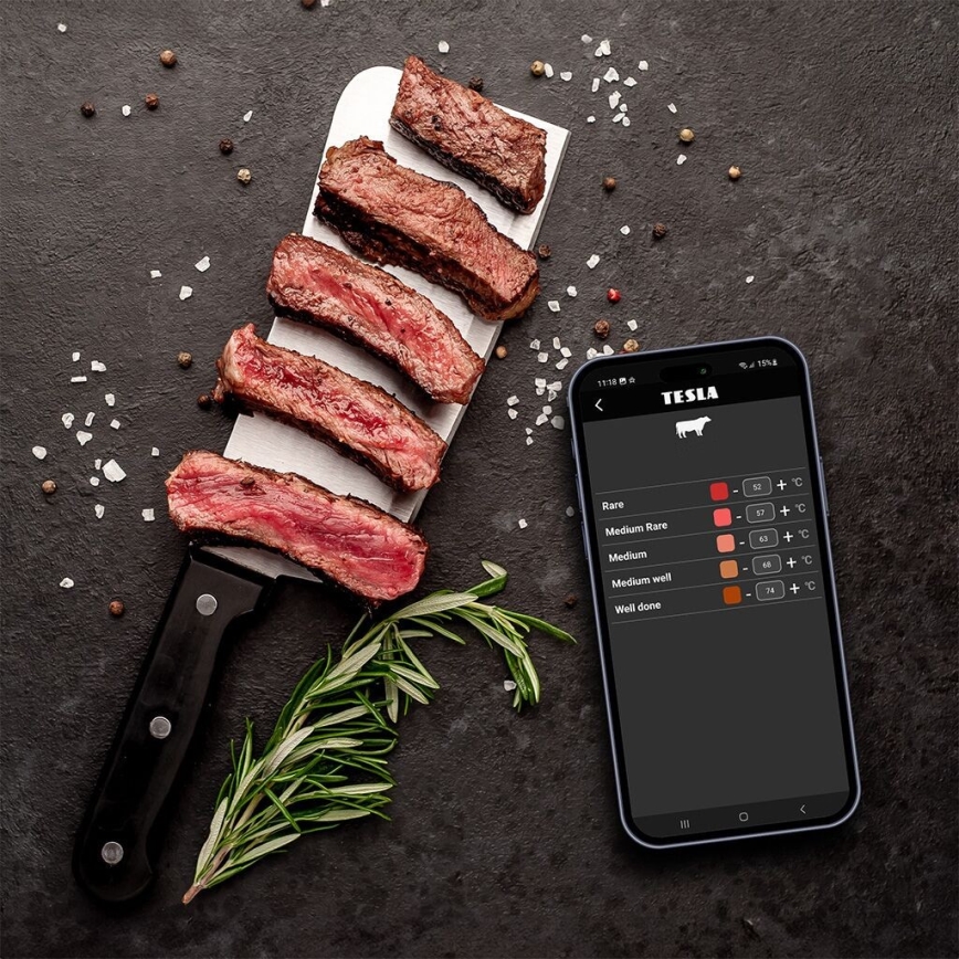 TESLA Electronics Cook - Digitalni termometer za meso s sondo 0-400 °C 2xAA IP65