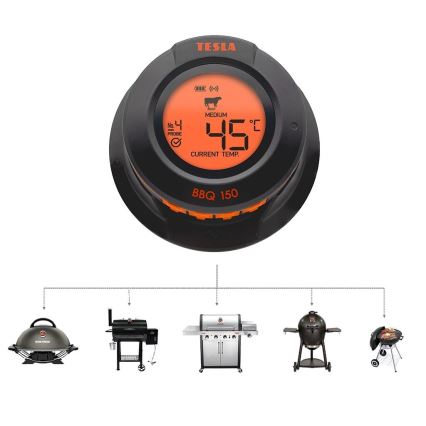 TESLA Electronics Cook - Digitalni termometer za meso s sondo 0-400 °C 2xAA IP65