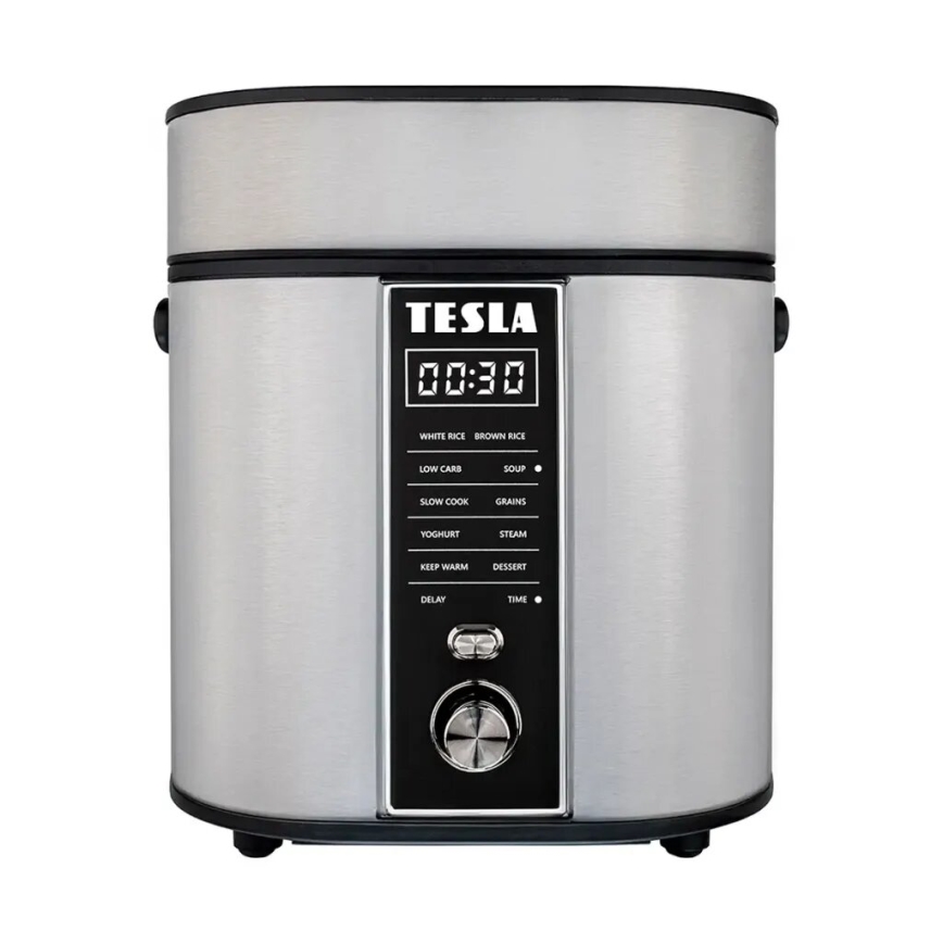 TESLA Electronics MultiCook - Večnamenski kuhalnik riža 2,1 l 400W/230V