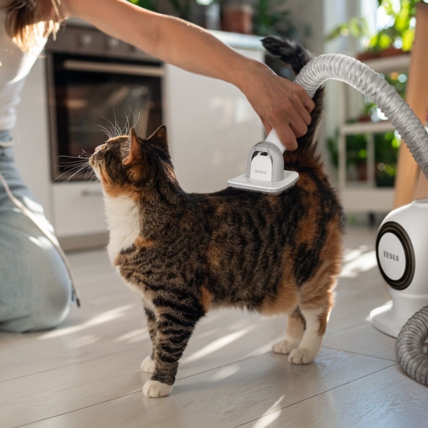 TESLA Electronics PetCare - Komplet za nego hišnih ljubljenčkov 300W/230V