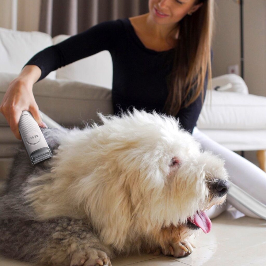 TESLA Electronics PetCare - Komplet za nego hišnih ljubljenčkov 300W/230V