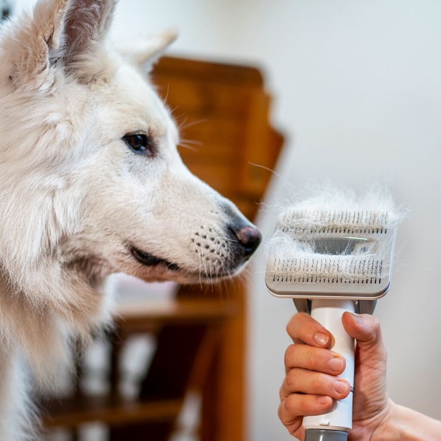 TESLA Electronics PetCare - Komplet za nego hišnih ljubljenčkov 300W/230V