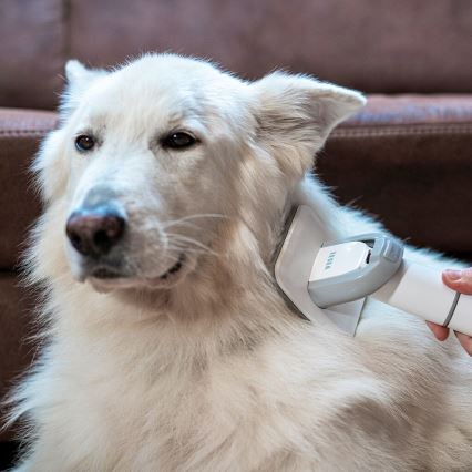 TESLA Electronics PetCare - Komplet za nego hišnih ljubljenčkov 300W/230V