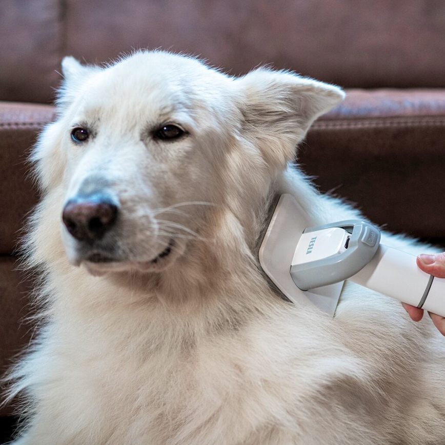 TESLA Electronics PetCare - Komplet za nego hišnih ljubljenčkov 300W/230V