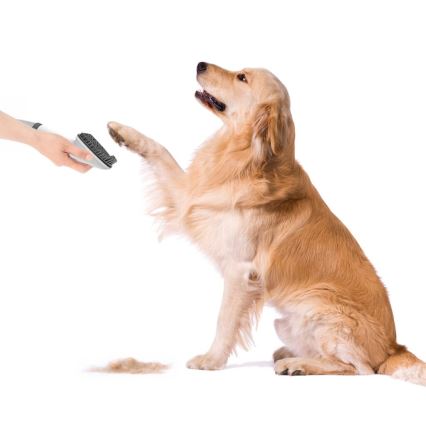 TESLA Electronics PetCare - Komplet za nego hišnih ljubljenčkov 300W/230V