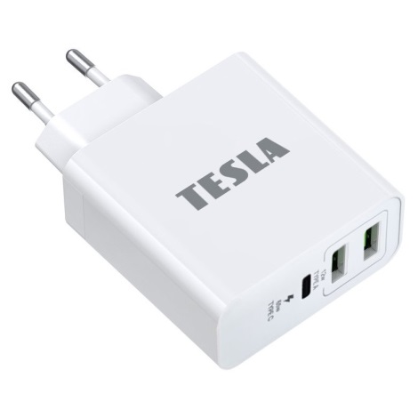 TESLA Electronics - Polnilni adapter USB-C 3v1 65W bela
