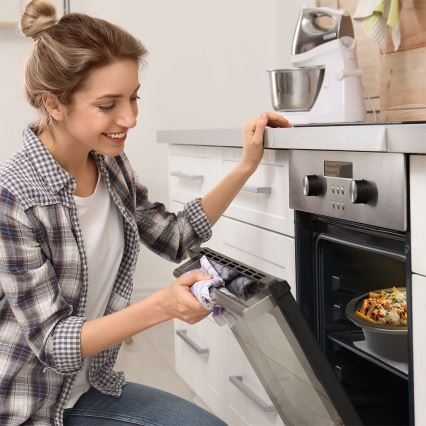 TESLA Electronics SlowCook - Počasni kuhalnik 6,5 l 270W/230V