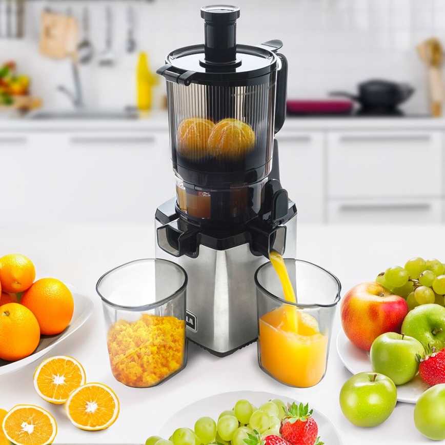 TESLA Electronics SlowJuicer Deluxe - Počasni sokovnik 250W/230V nerjaveče jeklo