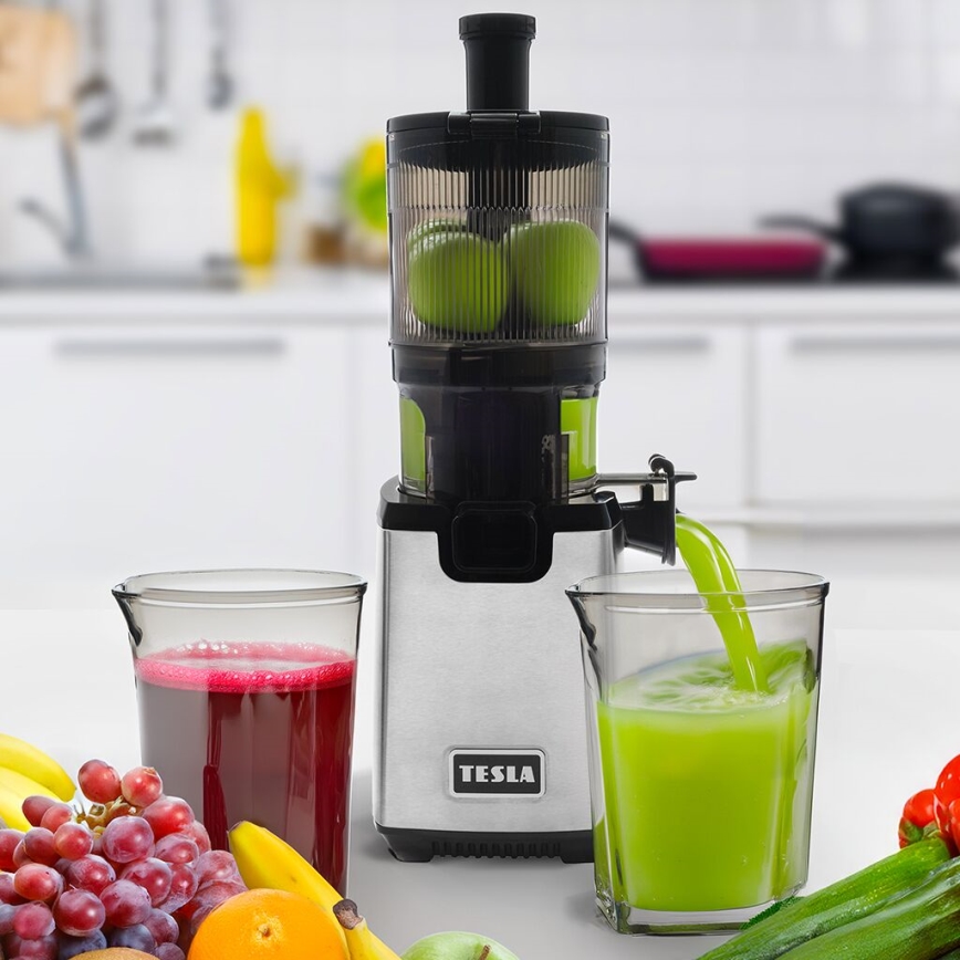 TESLA Electronics SlowJuicer Deluxe - Počasni sokovnik 250W/230V nerjaveče jeklo