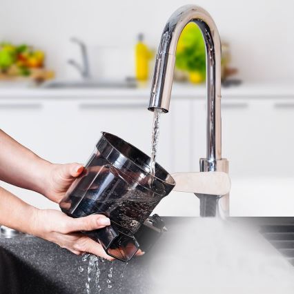 TESLA Electronics SlowJuicer Deluxe - Počasni sokovnik 250W/230V nerjaveče jeklo