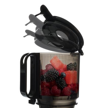 TESLA Electronics SlowJuicer Deluxe - Počasni sokovnik 250W/230V nerjaveče jeklo
