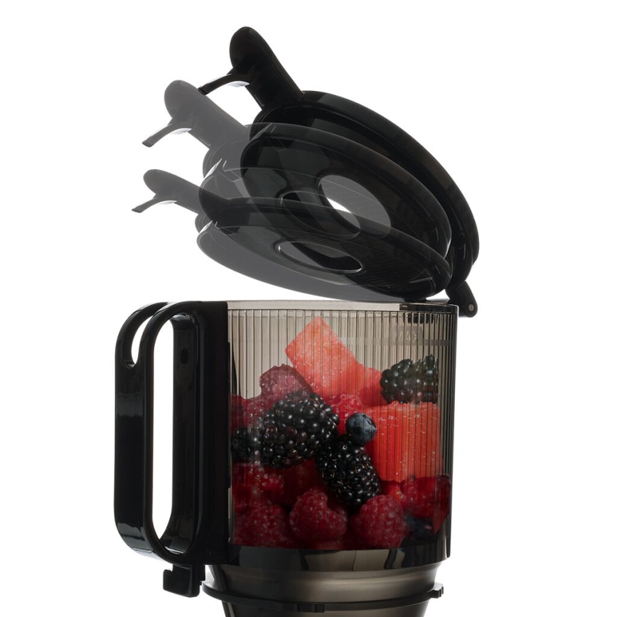 TESLA Electronics SlowJuicer Deluxe - Počasni sokovnik 250W/230V nerjaveče jeklo