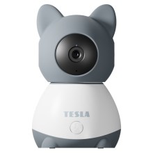 Tesla - Pametna kamera 360 Baby Full HD 1080p 5V Wi-Fi siva