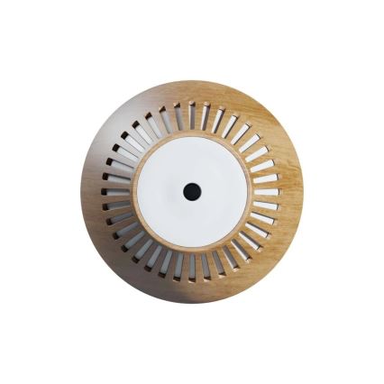 TESLA Smart - LED RGB Aroma difuzor in vlažilec zraka LED/5W/230V 150ml