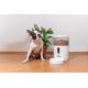 TESLA Smart - Pametna krmilnica s kamero za hišne ljubljenčke 4 l 5V/3xLR20 Wi-Fi