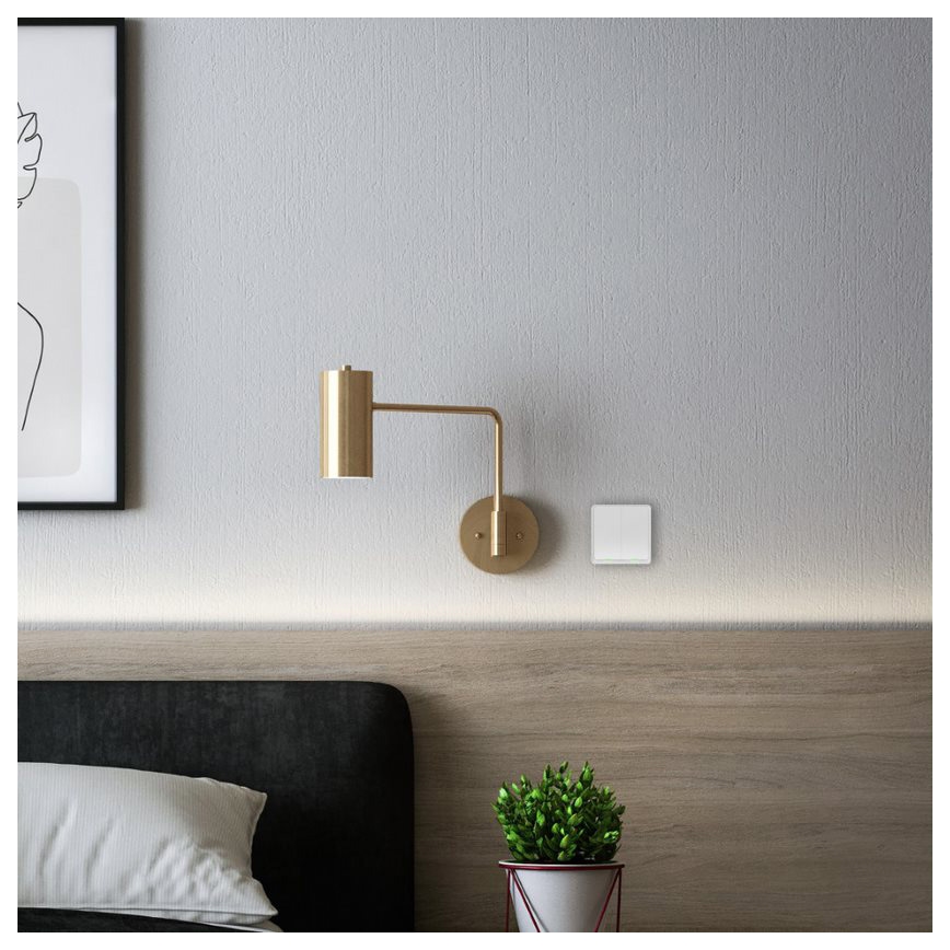 TESLA Smart - Pametno brezžično stikalo 2P 1xCR2430 ZigBee