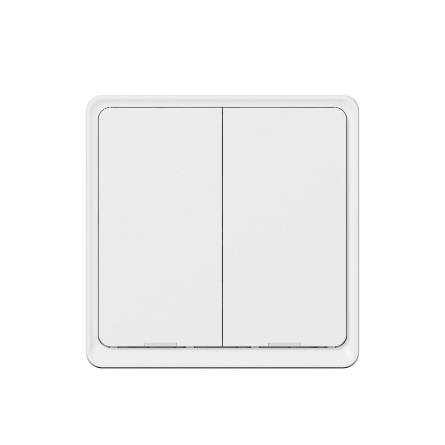TESLA Smart - Pametno brezžično stikalo 2P 1xCR2430 ZigBee