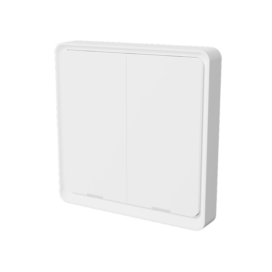 TESLA Smart - Pametno brezžično stikalo 2P 1xCR2430 ZigBee