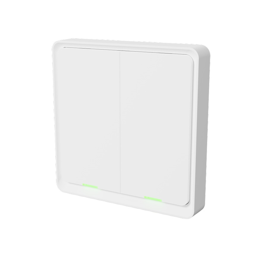 TESLA Smart - Pametno brezžično stikalo 2P 1xCR2430 ZigBee