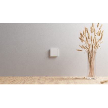 TESLA Smart - Pametno stikalo 1P 230V Zigbee