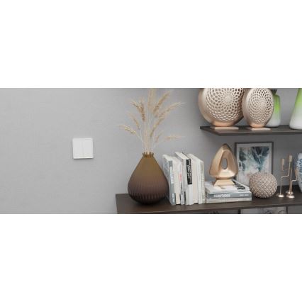 TESLA Smart - Pametno stikalo 1P 230V Zigbee