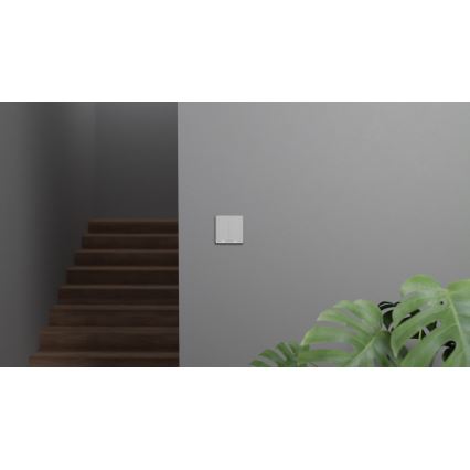 TESLA Smart - Pametno stikalo 2P 230V Zigbee