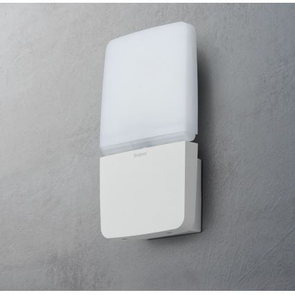 theben - LED stenski reflektor LED/11W/230V bela IP55