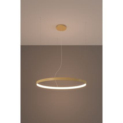 Thoro TH.174 - LED Lestenec na vrvici RIO LED/50W/230V CRI 90 3000K pr. 78 cm zlata