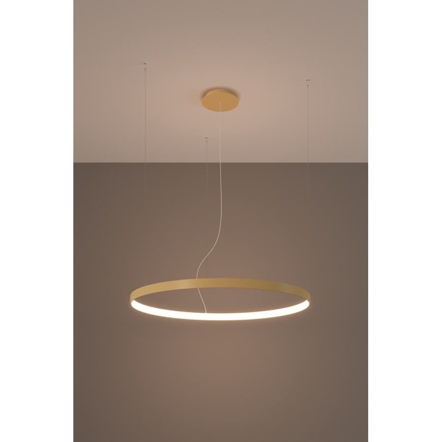 Thoro TH.174 - LED Lestenec na vrvici RIO LED/50W/230V CRI 90 3000K pr. 78 cm zlata