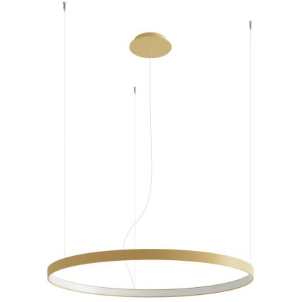 Thoro TH.174 - LED Lestenec na vrvici RIO LED/50W/230V CRI 90 3000K pr. 78 cm zlata