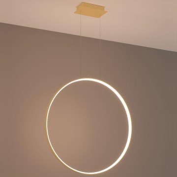 Thoro TH.175 - LED Lestenec na vrvici RIO LED/50W/230V CRI 90 3000K pr. 78 cm zlata