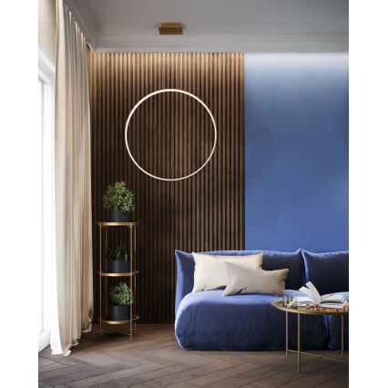 Thoro TH.175 - LED Lestenec na vrvici RIO LED/50W/230V CRI 90 3000K pr. 78 cm zlata