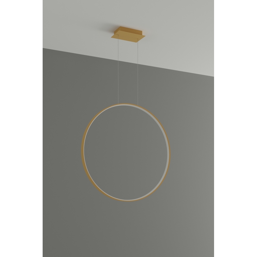 Thoro TH.175 - LED Lestenec na vrvici RIO LED/50W/230V CRI 90 3000K pr. 78 cm zlata