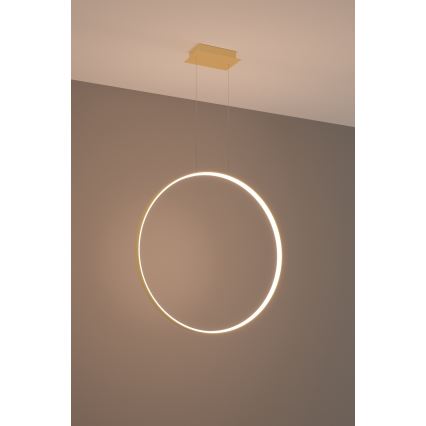 Thoro TH.175 - LED Lestenec na vrvici RIO LED/50W/230V CRI 90 3000K pr. 78 cm zlata