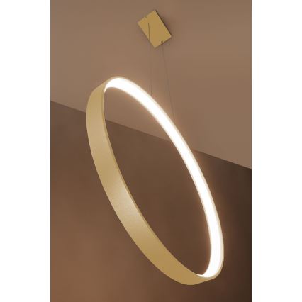 Thoro TH.175 - LED Lestenec na vrvici RIO LED/50W/230V CRI 90 3000K pr. 78 cm zlata