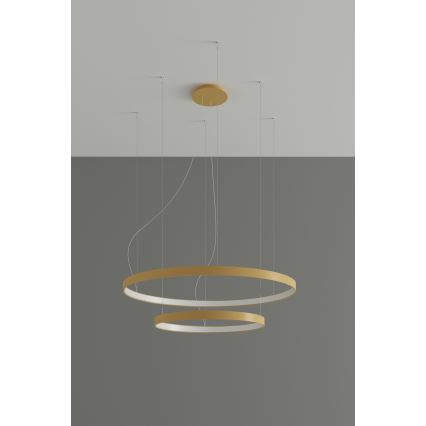 Thoro TH.214 - LED Lestenec na vrvici RIO LED/80W/230V CRI 90 3000K zlata